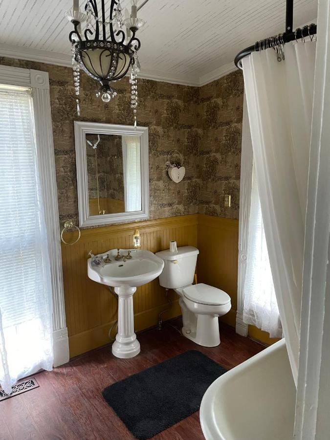 Irishette - Charming Suite In 1893 Victorian Home Dublin المظهر الخارجي الصورة